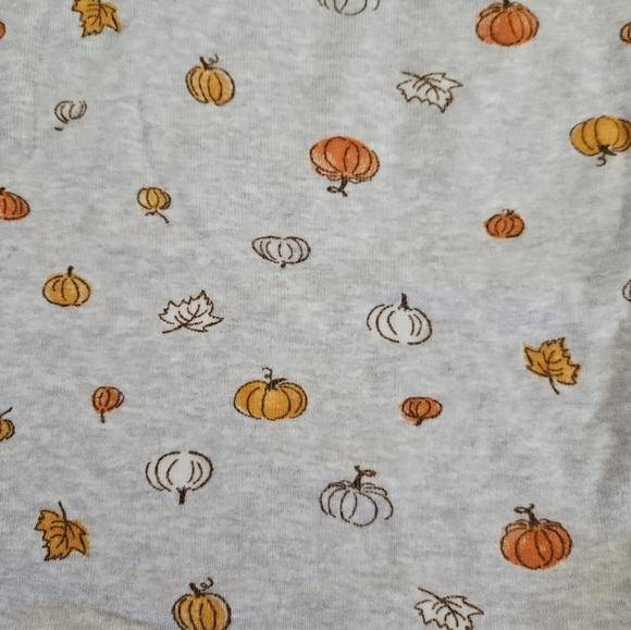 Autumn Pajama Set | Size 5 | Pumpkins | Leaves | Fall | PJs | LC Lauren Conrad - Picture 5 of 7